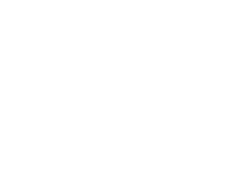 Boston Scientific