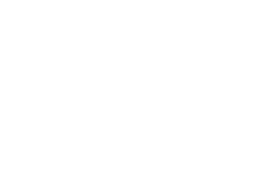 BPI France