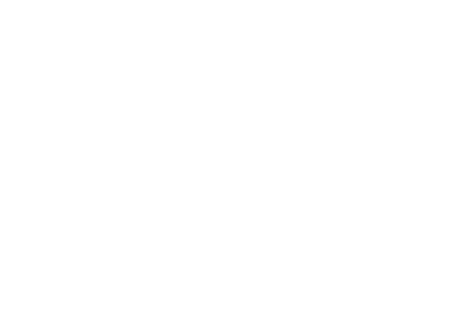 Cosmobolis